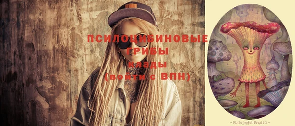 прущая мука Ельня