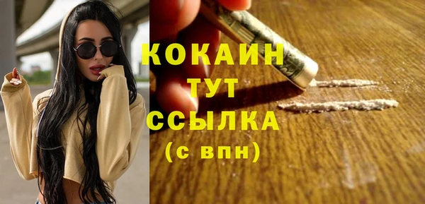 прущая мука Ельня